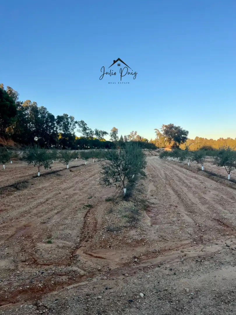 Terreni e lotti in vendita a La Puebla del Río, imagen 9