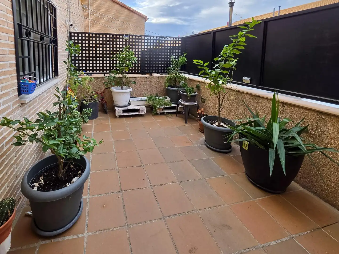 Terrace of Detached homes for sale in Carranque, Toledo