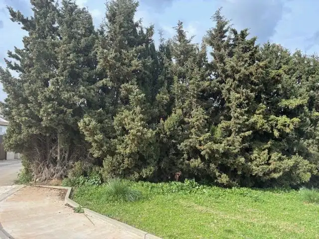 Casa o chalet en venta en Palau-solità i Plegamans con Jardín privado, Terraza y Piscina
