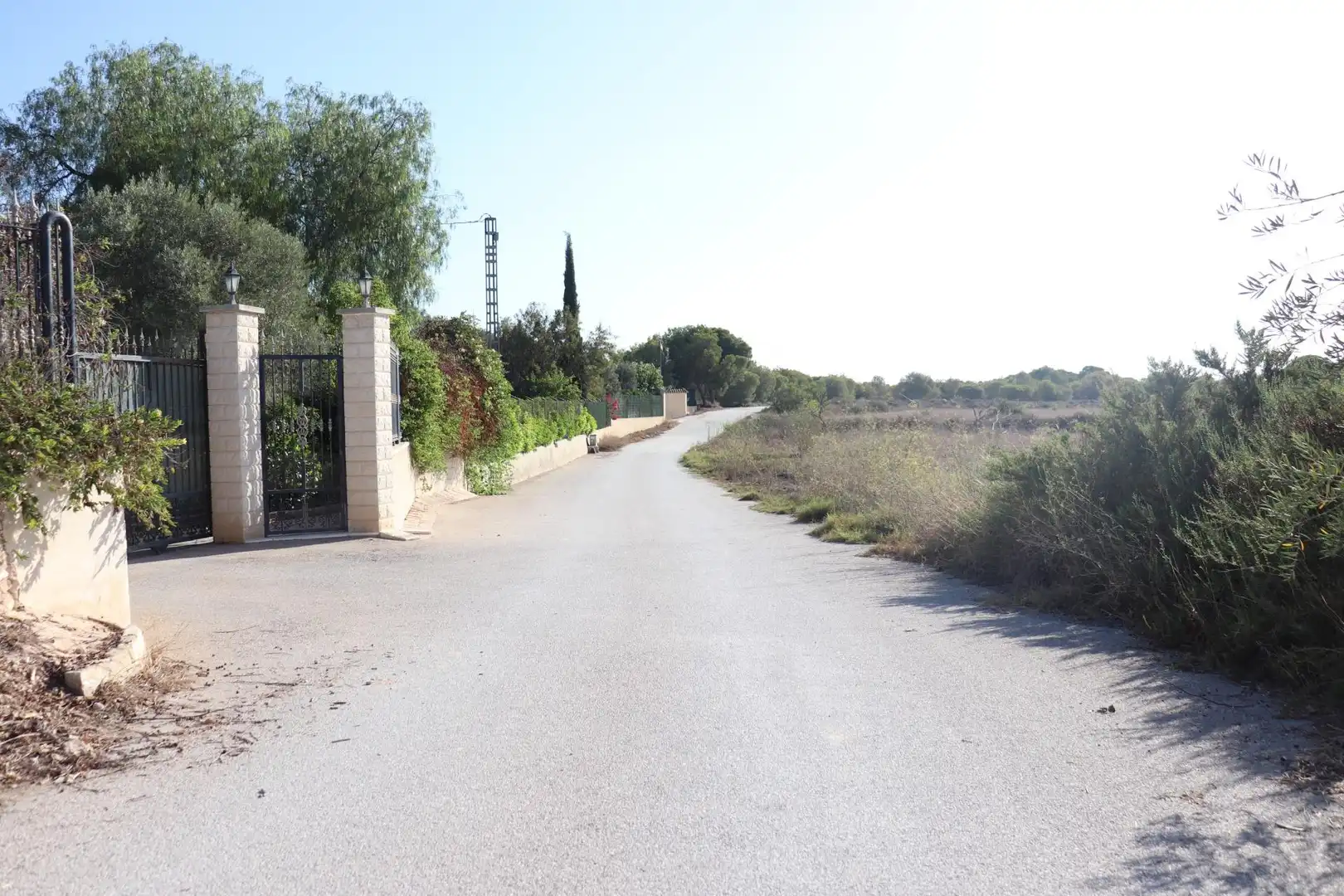 Terrain rustique à vendre à Valverde, imagen 7