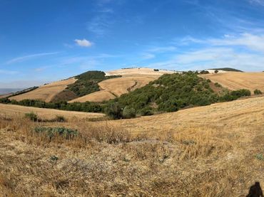 Terreno rustico in vendita a Arcos de la Frontera