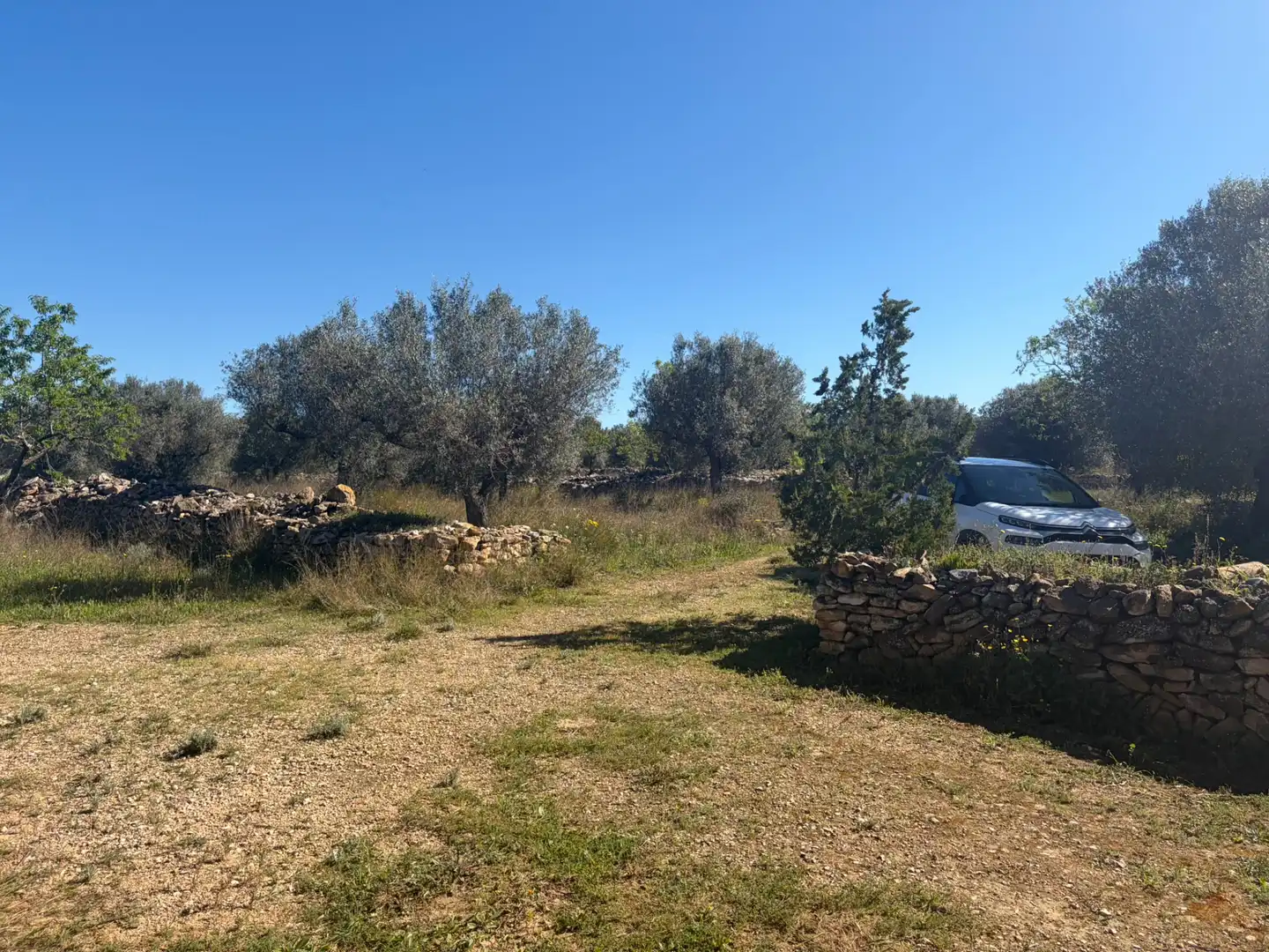 Finca rústica en venta en Tivissa