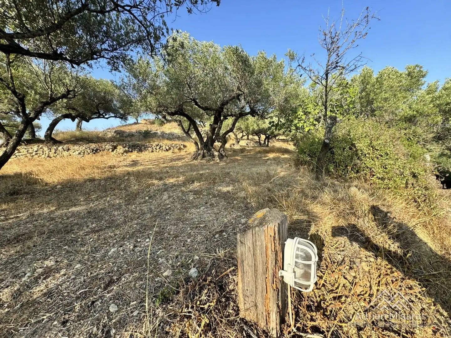 Terreno en venta en Tortosa