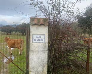Casa o xalet en venda en Candeleda amb Terrassa
