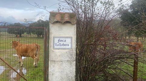 Dehesa en Candeleda, Ávila
