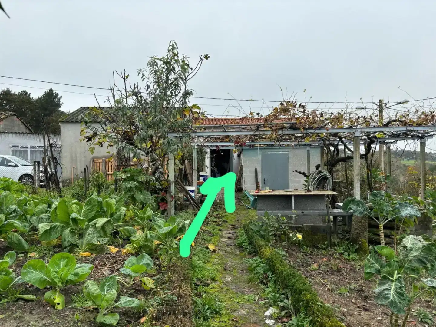 Finca rústica en venta en Celanova con Jardín privado