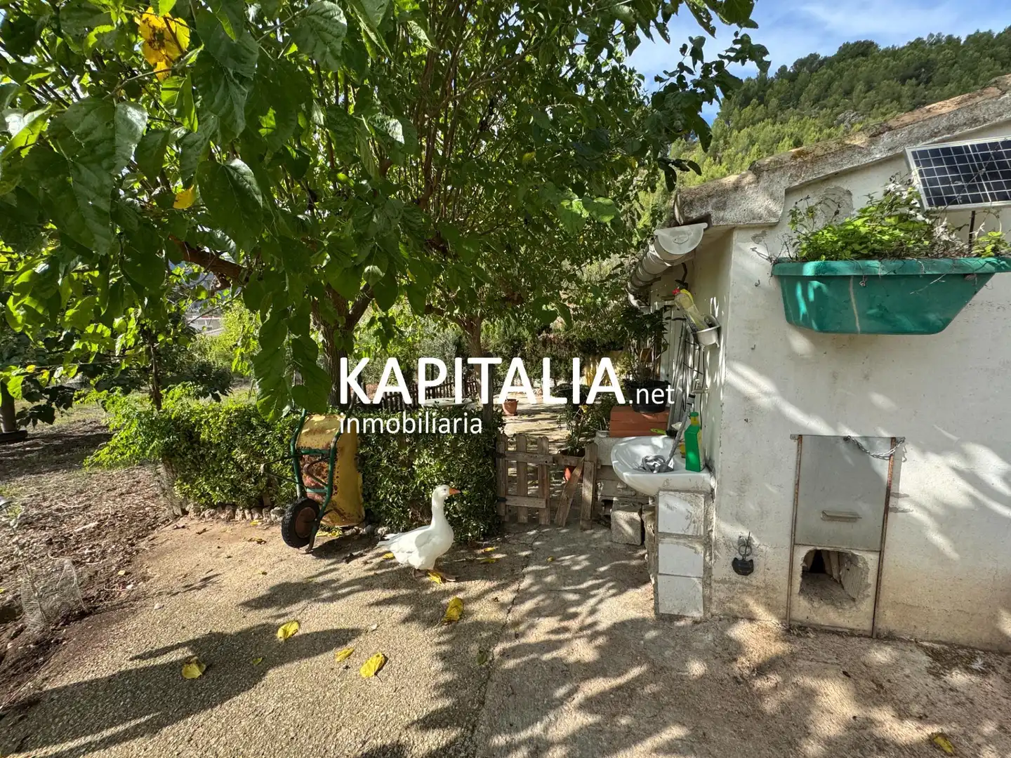 House for sale in L'Orxa / Lorcha, imagen 38