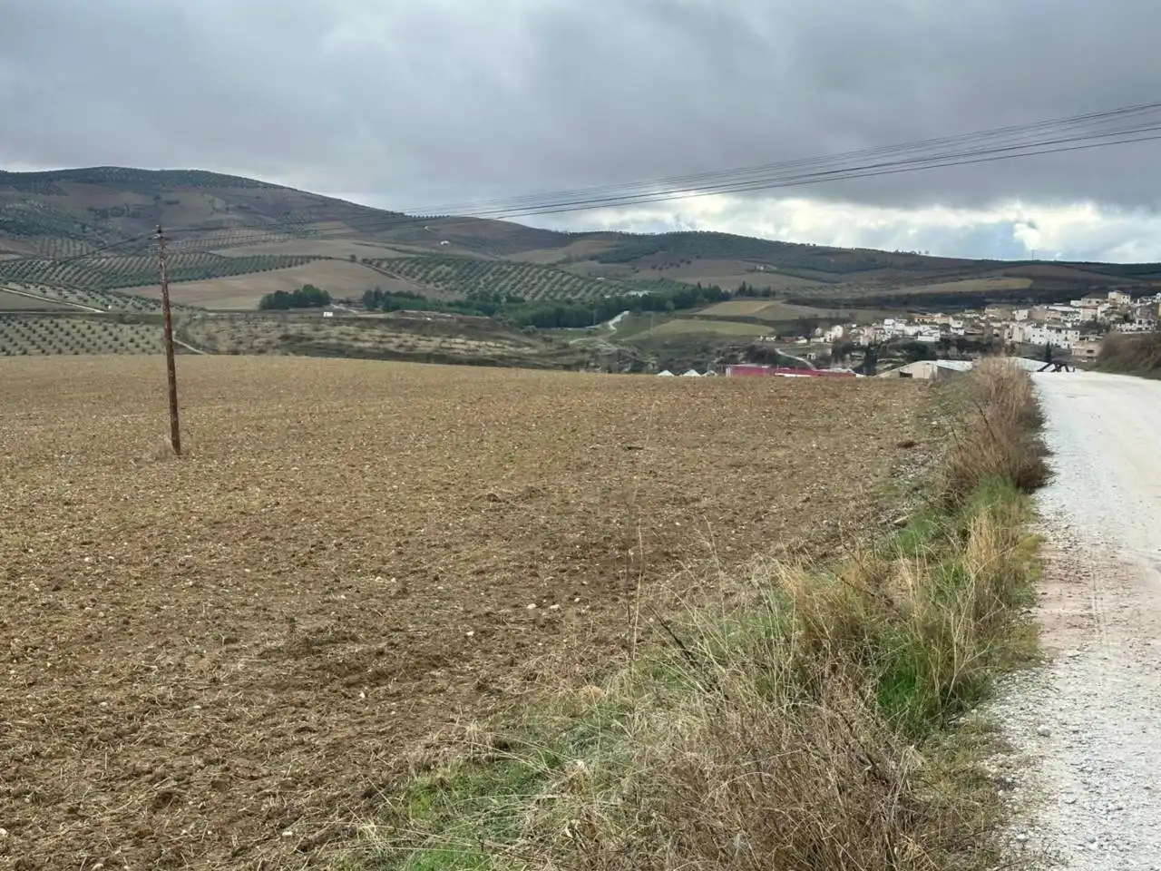 Terreni e lotti in vendita a Alhama de Granada, imagen 8
