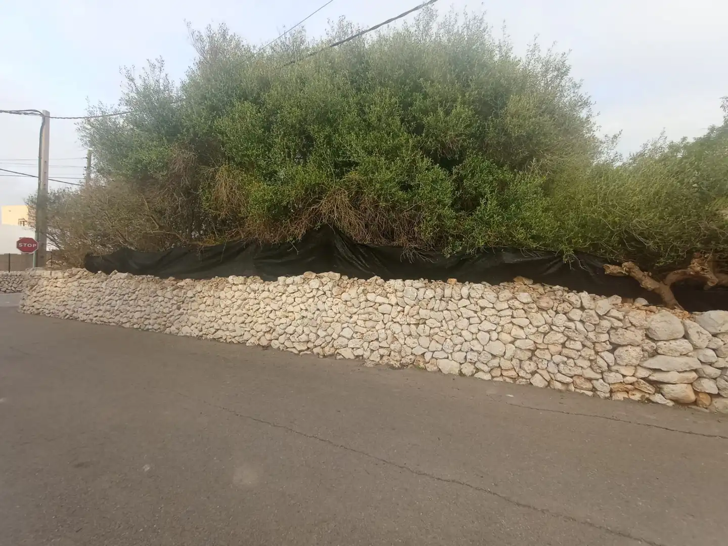 Terrenys i solars en venda a Sant Lluís - S'Ullestrar - Torret, imagen 2