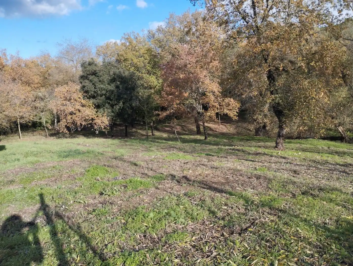 Finca rústica en venda en Quart