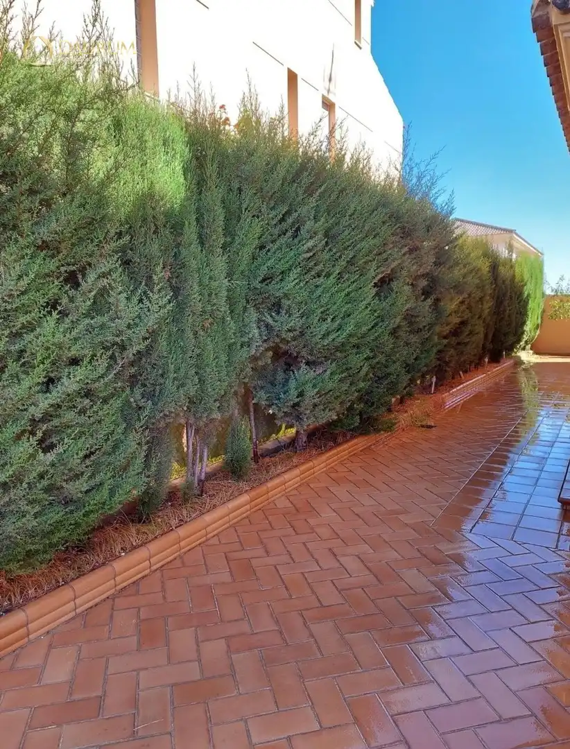 Jardí de Casa o xalet en venda en Coria del Río amb Aire condicionat, Terrassa i Traster