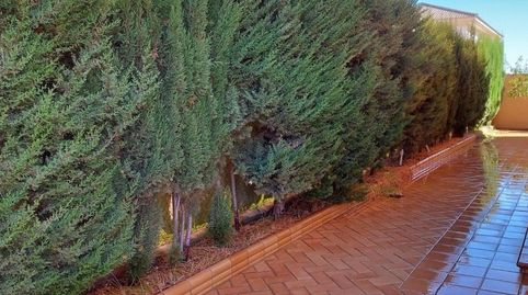 Foto 2 de Casa o xalet en venda a Calle Fuerteventura, 37, Coria del Río, Sevilla