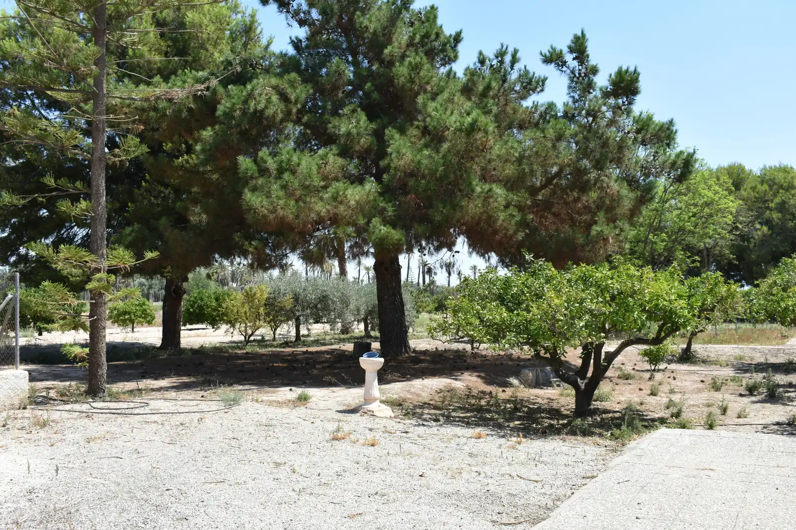 Casa o chalet en venta en Elche / Elx con Jardín privado y Amueblado