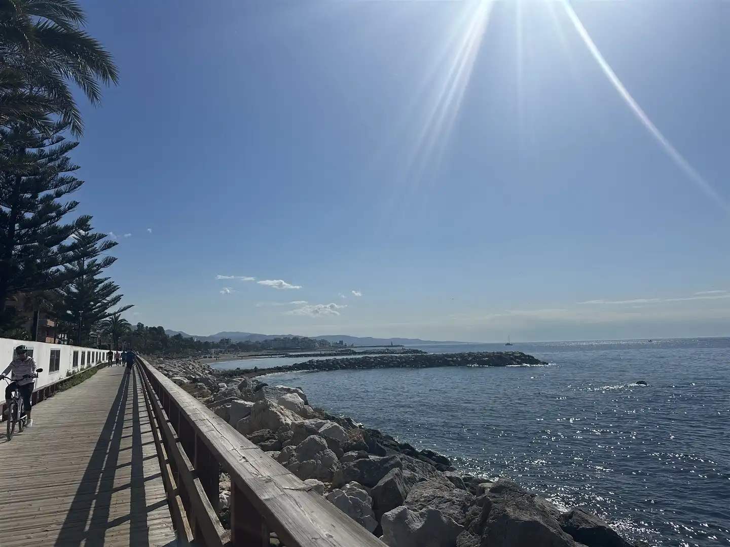 Vista exterior de Apartament en venda en Marbella