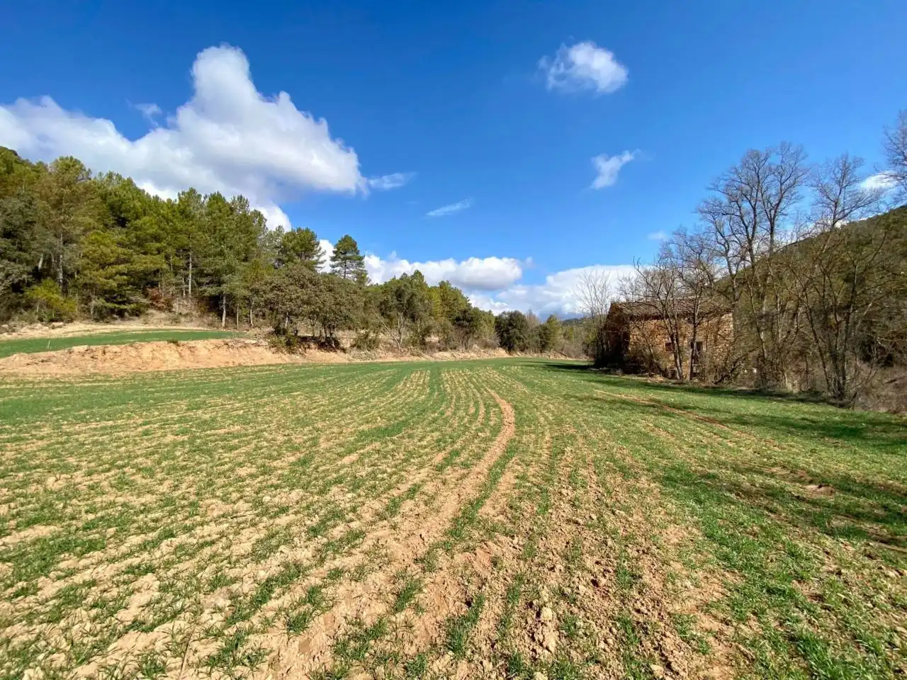 Finca rústica en venta en La Baronia de Rialb con Jardín privado