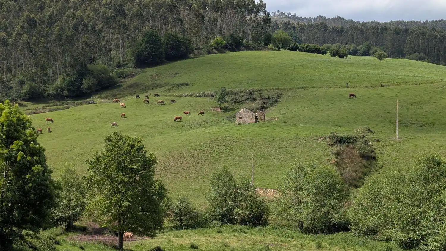 Exterior view of Country homes for sale in Piélagos