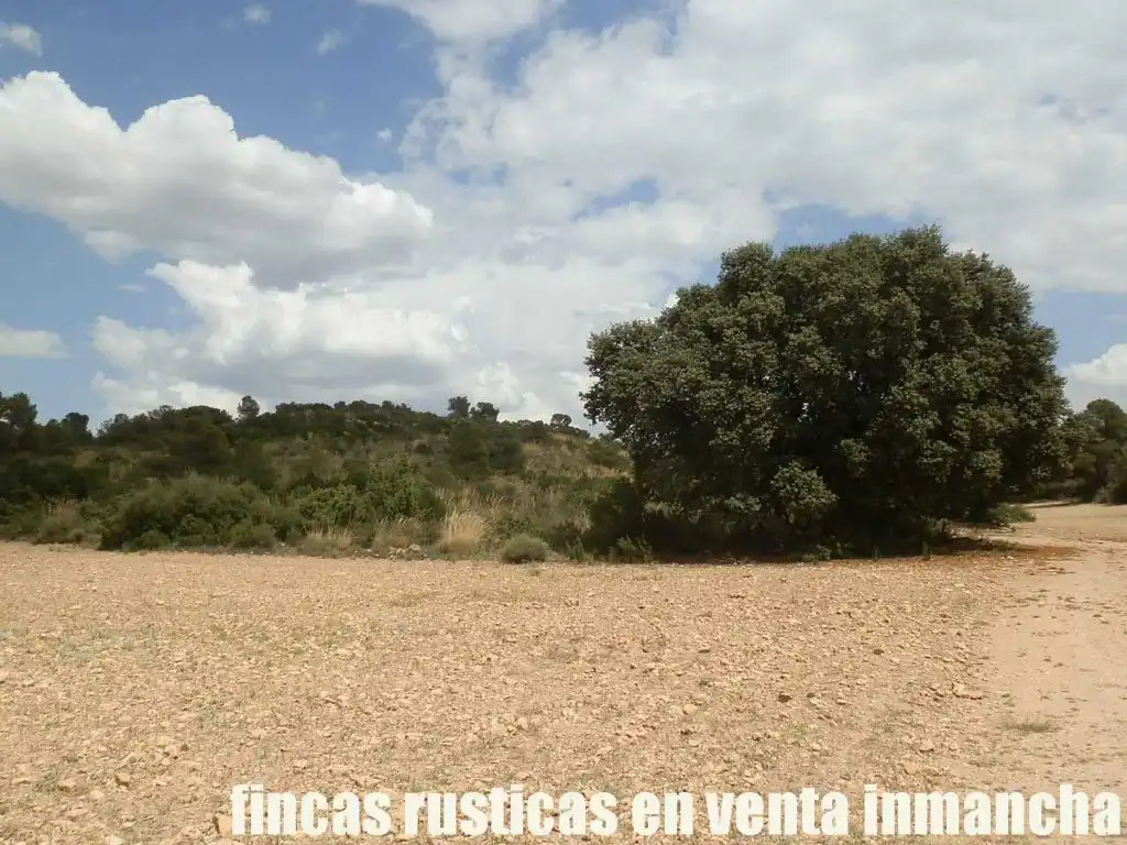 Rural land for sale in Chinchilla de Monte-Aragón, imagen 8