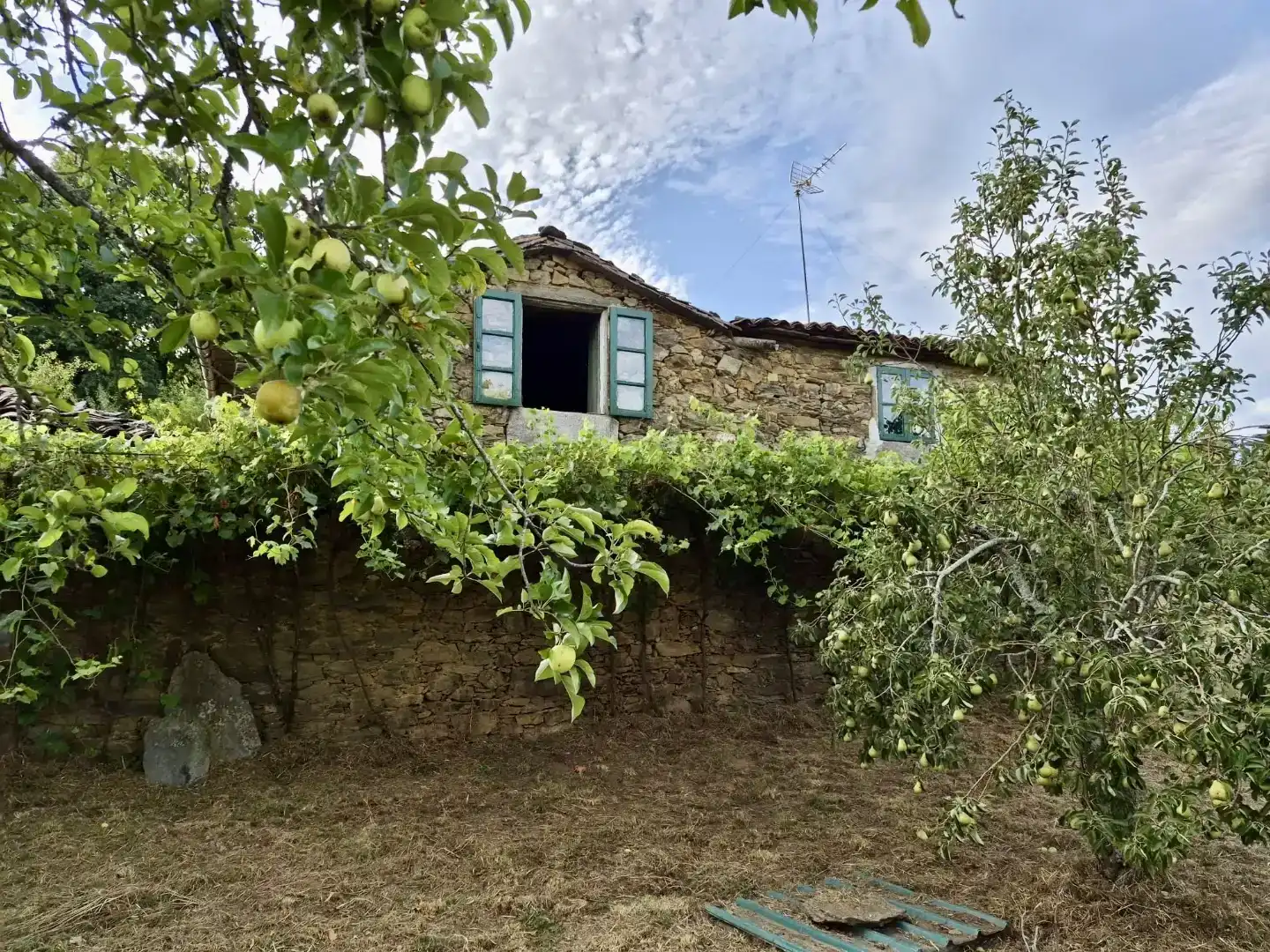 Vista exterior de Casa o xalet en venda en Touro