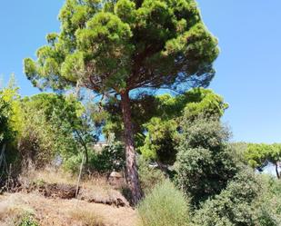 Residencial en venda en Sant Pol de Mar