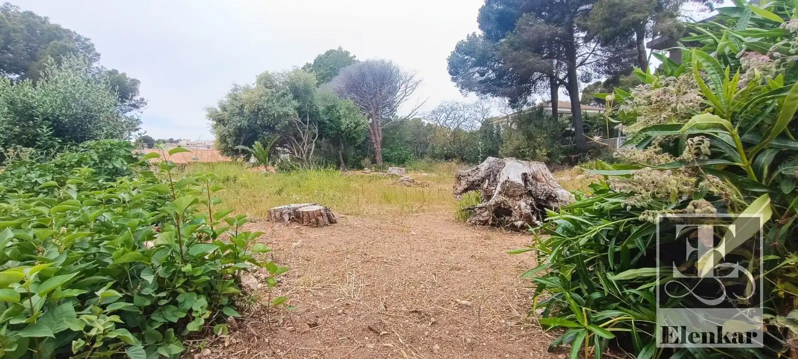 Terreno rústico en venta en SAL