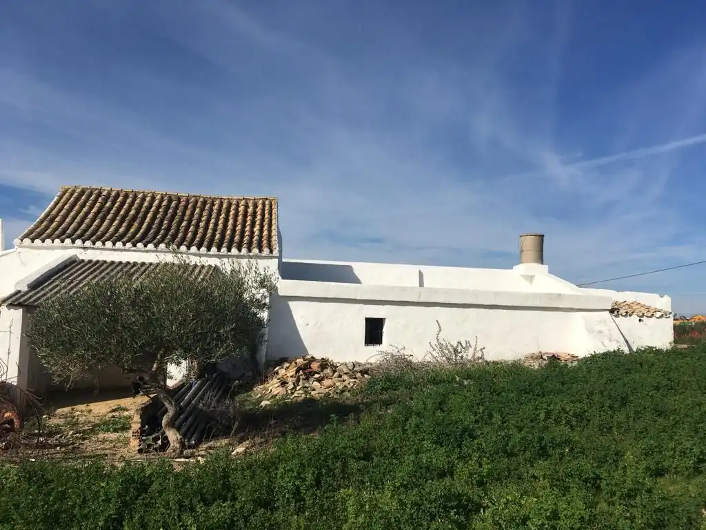 Casa rústica en venda a Arcos de la Frontera, imagen 13