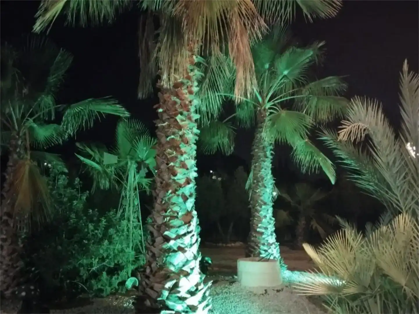 Casa o xalet en venda en Monóvar  / Monòver, Alicante