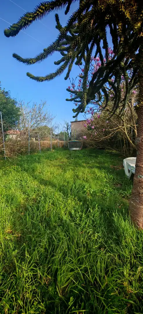 Terreni e lotti in vendita a Fene, imagen 3