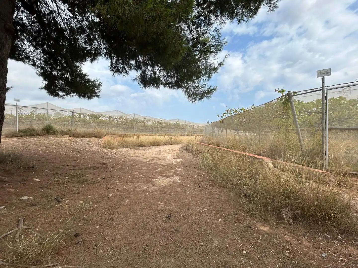 Terreno rustico in vendita a Carrer Lliria, imagen 4