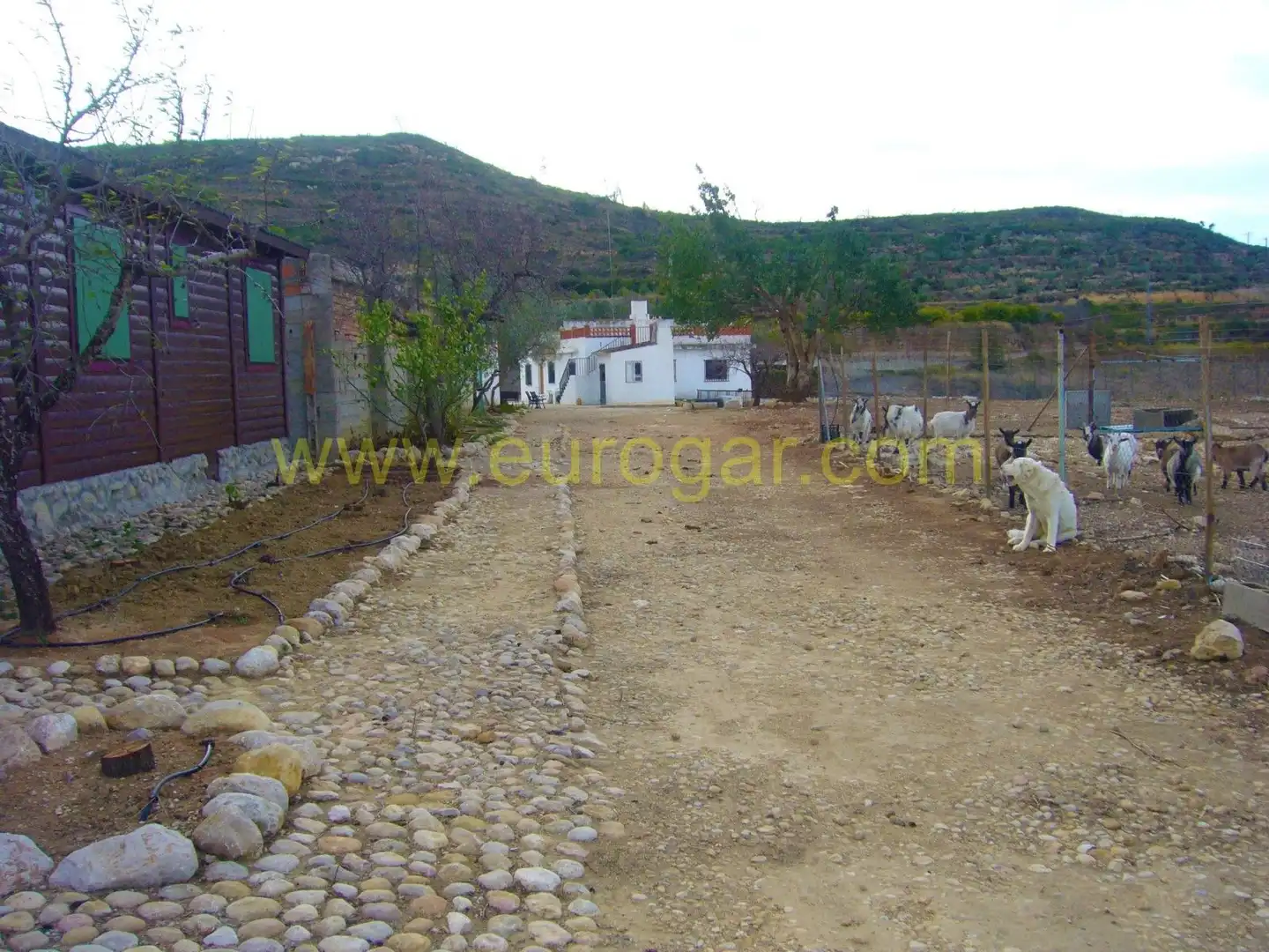 Villa à vendre à Turís, imagen 24