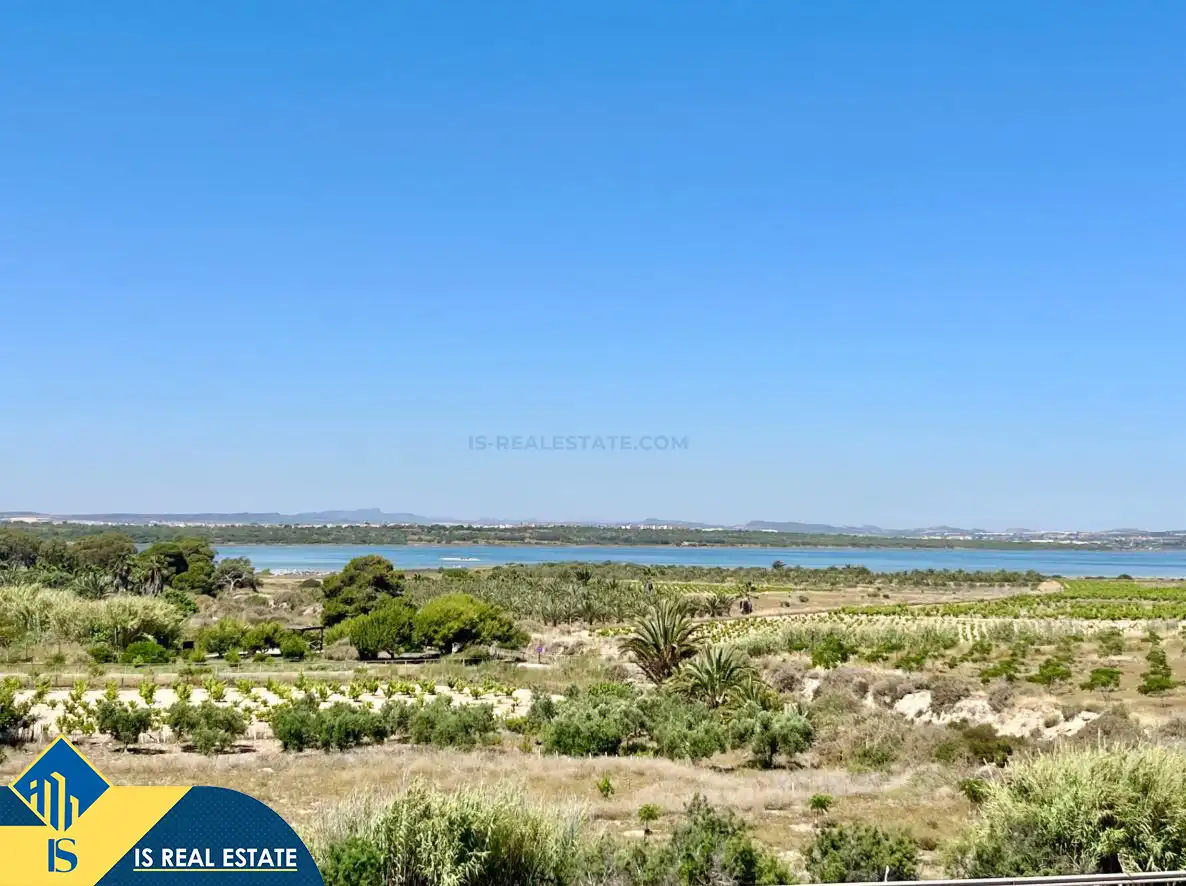Studio à vendre à La Mata, imagen 9
