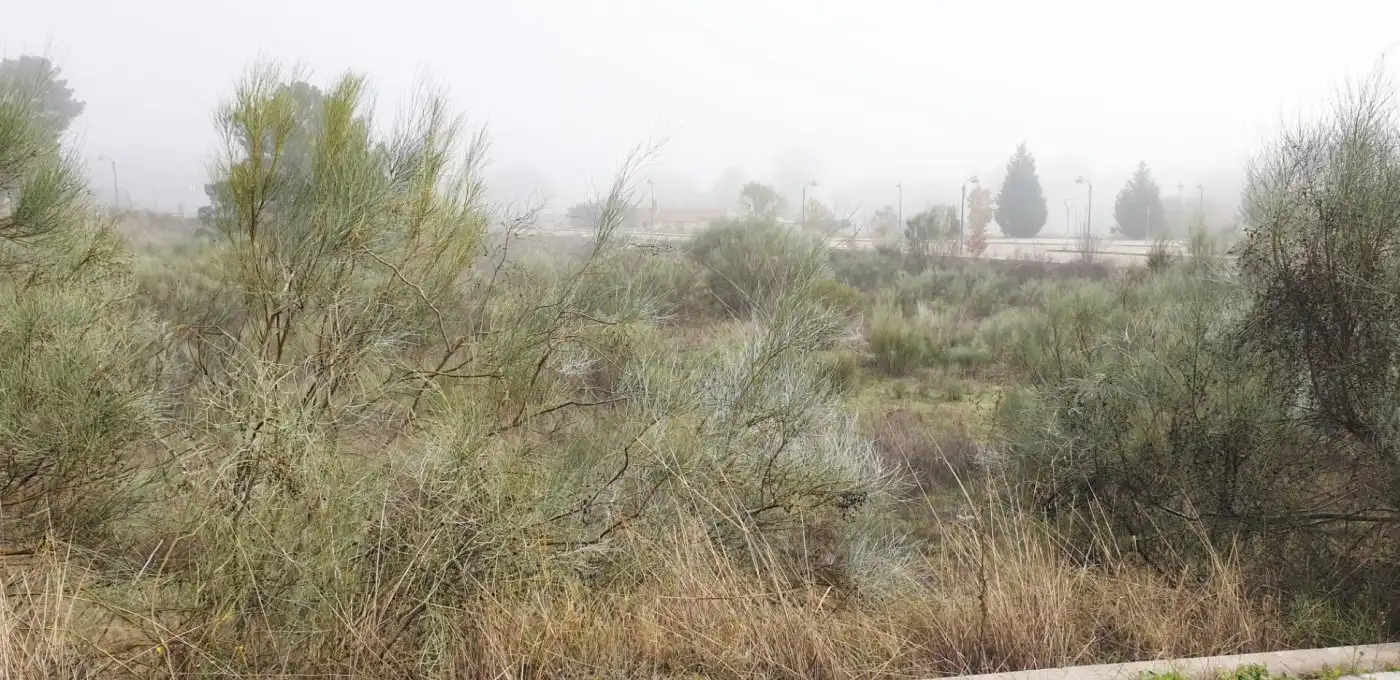 Terreno residencial en venta en Boecillo, imagen 7