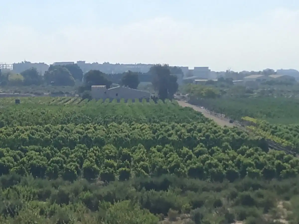 Rustikales Grundstück zum Verkauf in llano san jose, imagen 9