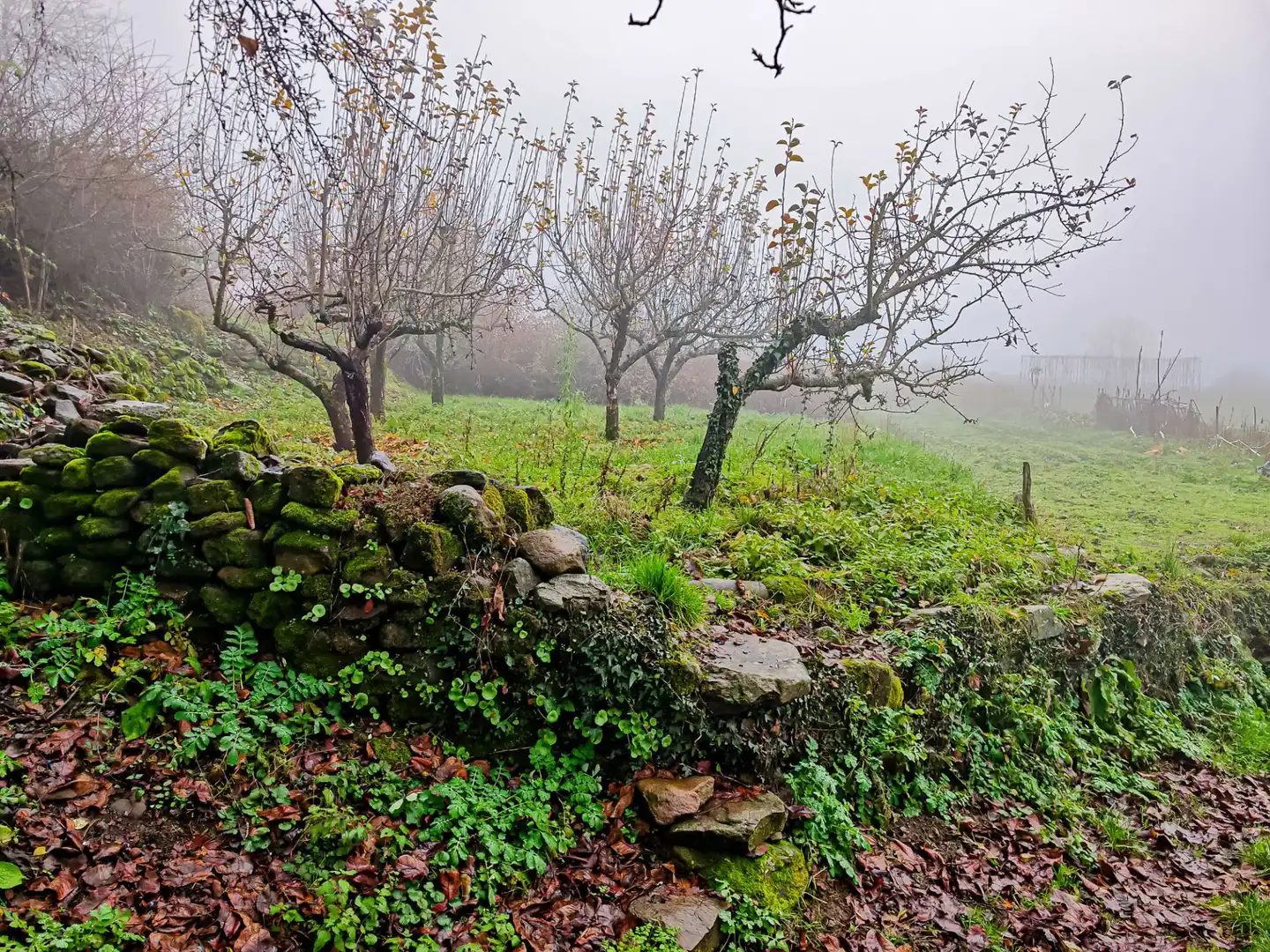 Casa o xalet en venda en Toreno amb Calefacció i Moblat