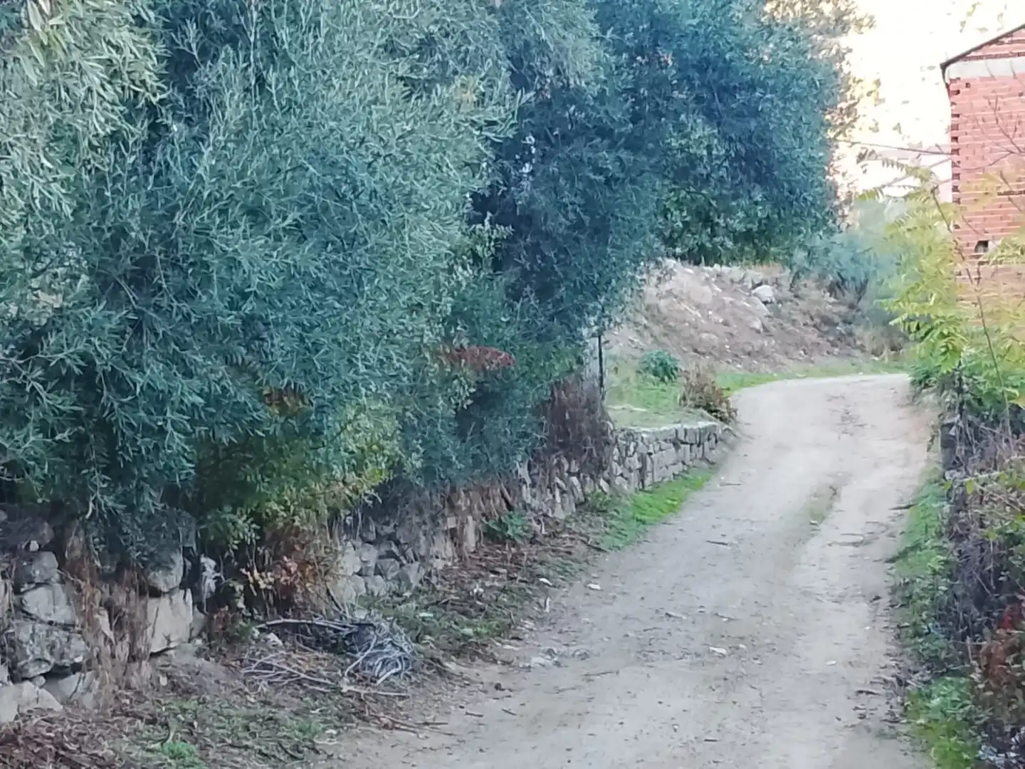 Terreni e lotti in vendita a El Hoyo de Pinares, imagen 11