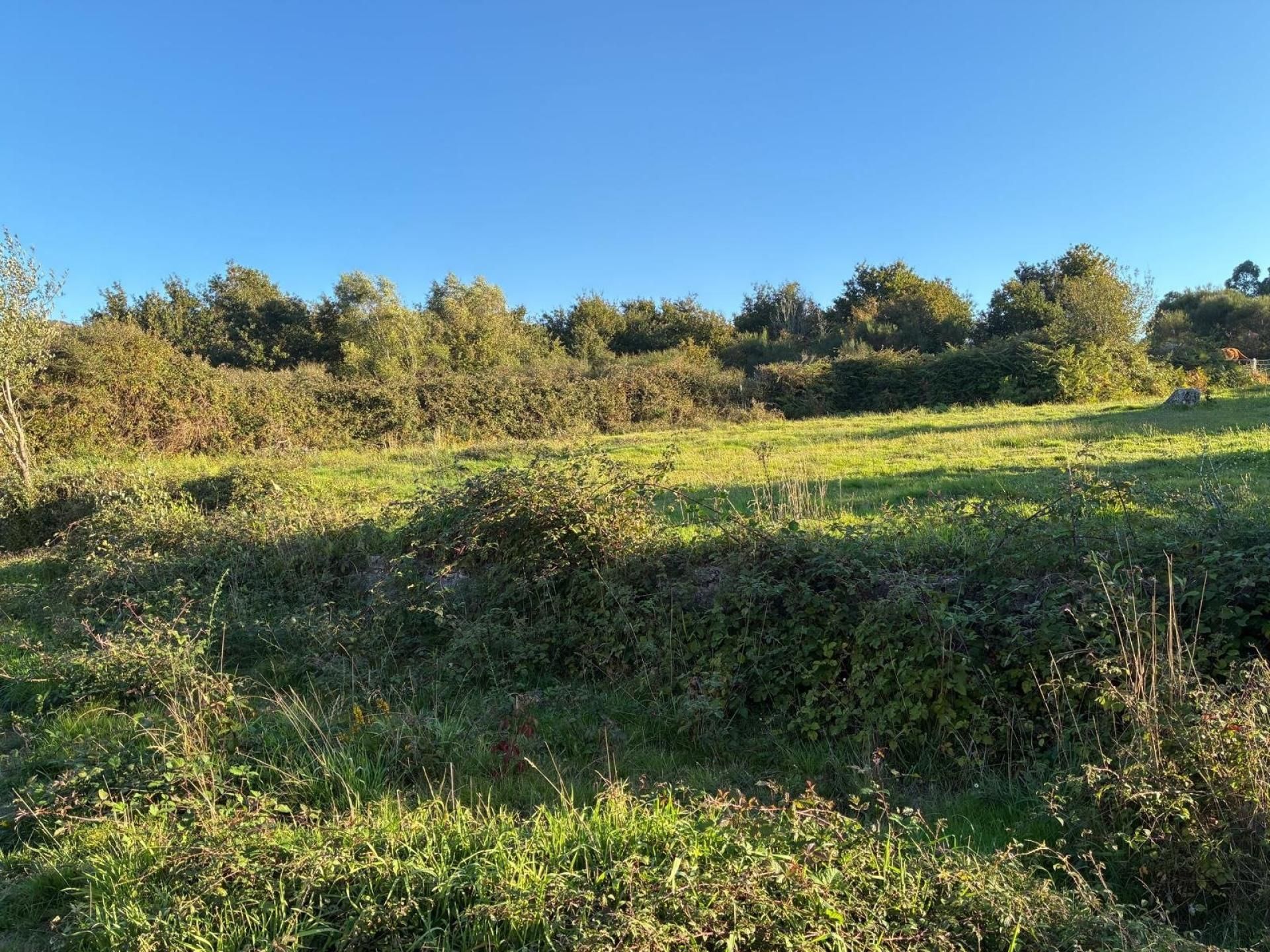 Country house zum verkauf in A Lama  