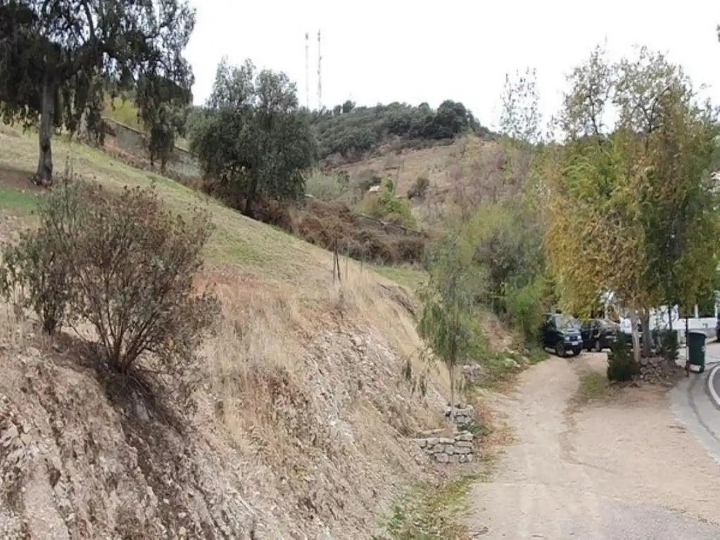 Terreny rústic en venda a VILLANUEVA DE CORDOBA, imagen 7