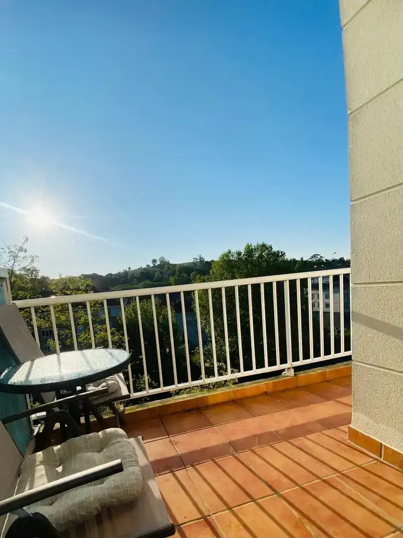 Terrasse von Wohnung zum Verkauf in Entrambasaguas mit Balkon