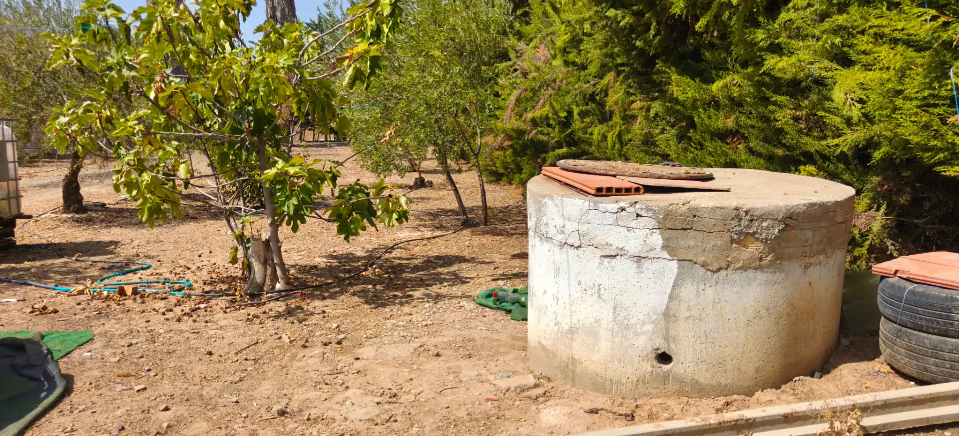 Casa rústica amb piscina en venda a Las Cabezas de San Juan, imagen 5