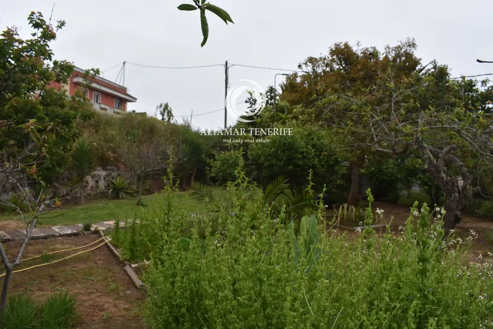Casa o xalet en venda en Icod de los Vinos amb Terrassa, Traster i Moblat