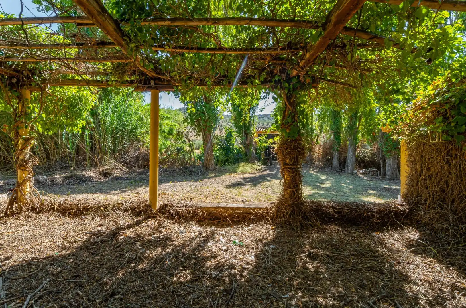 Finca rústica en venta en Morata de Jiloca, Zaragoza