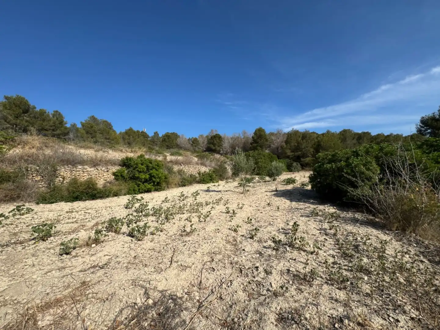 Wohnbaugrundstück zum Verkauf in Benissa pueblo, imagen 5