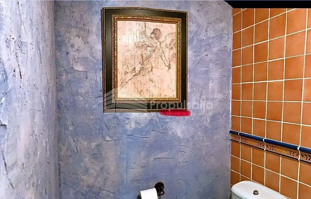 Gewerbefläche zum Verkauf in Judería, imagen 18
