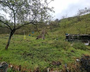 Terreny en venda en San Martín del Rey Aurelio