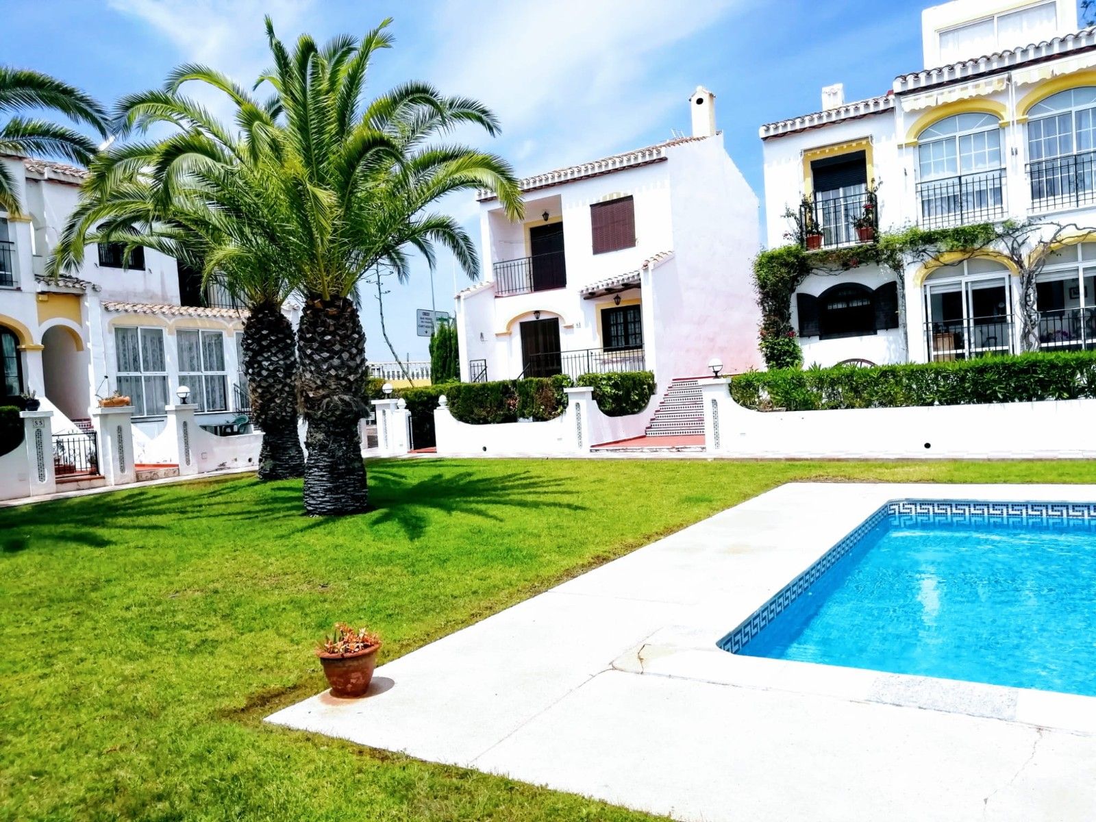 Garden of Duplex to rent in Torrevieja  with Air Conditioner, Terrace and Swimming Pool