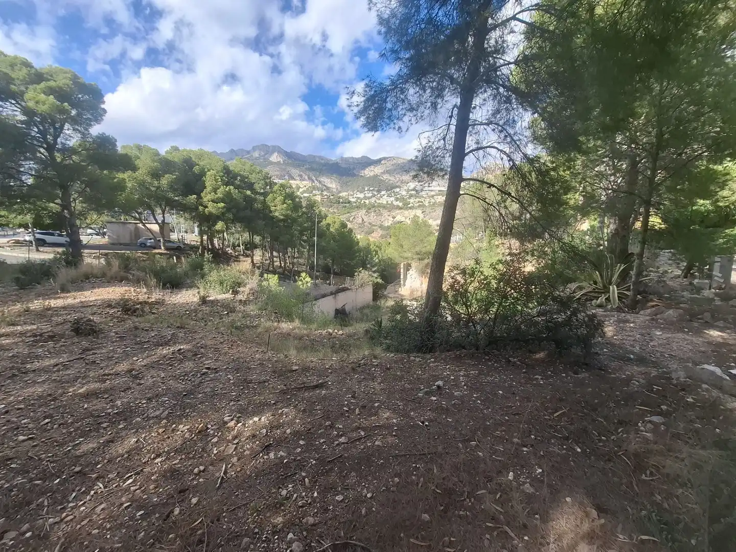 Lands and plots for sale in Mascarat, imagen 7