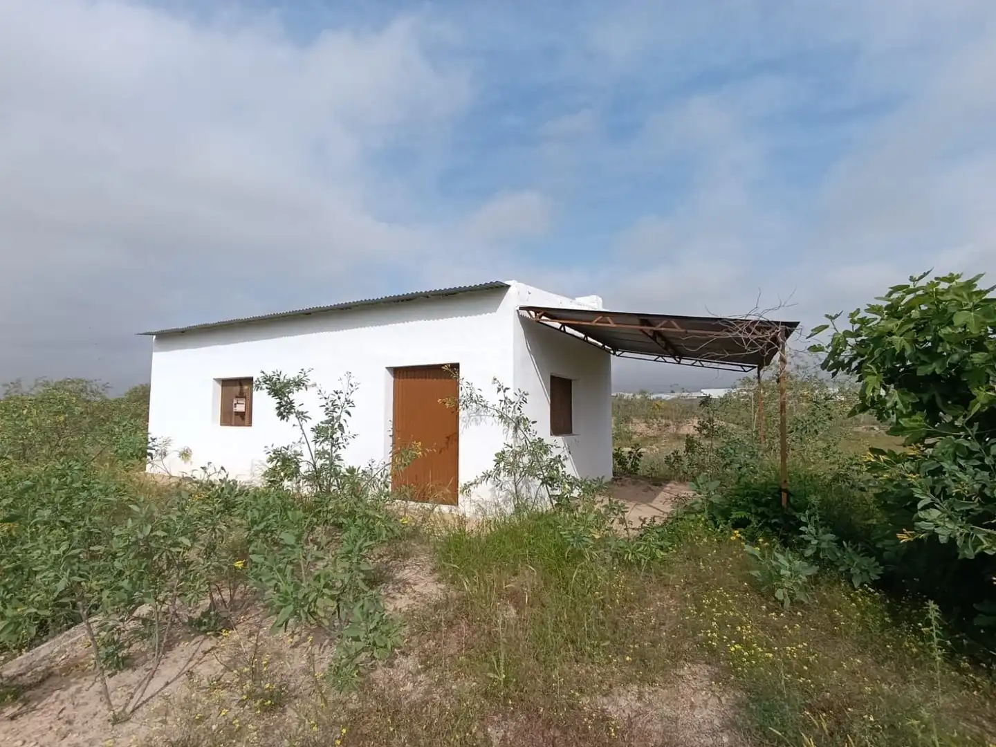 Exterior view of Residential for sale in Librilla