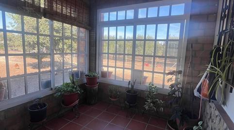 Foto 5 de Finca rústica en venda a Medina Sidonia, Cádiz