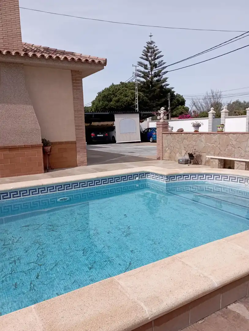 Piscina de Casa o xalet en venda en Chiclana de la Frontera amb Piscina