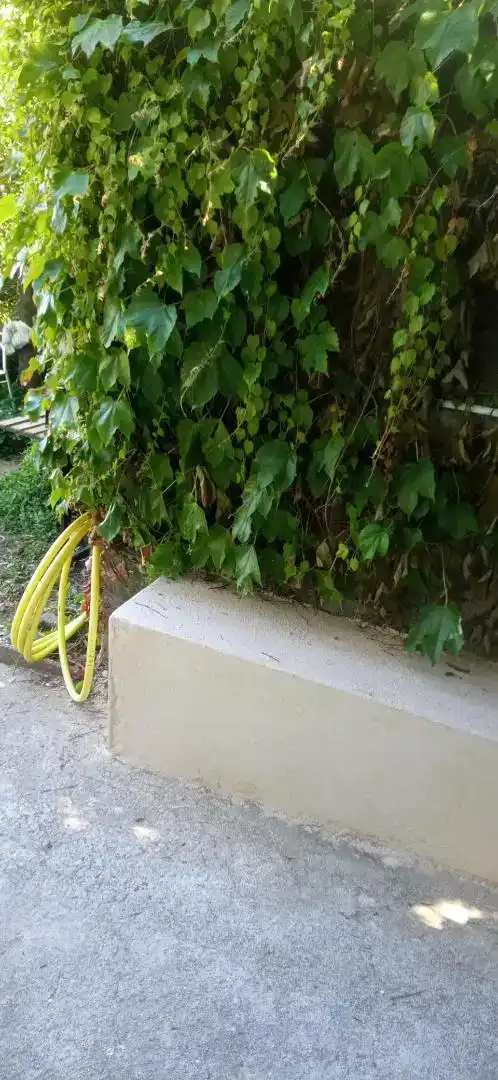 Außenansicht von Wohnungen zur Miete in Cangas  mit Privatgarten, Möbliert und Ofen