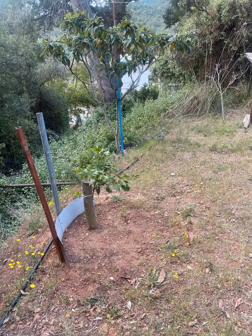 Terreno residenziale in vendita a La Sentiu, imagen 6
